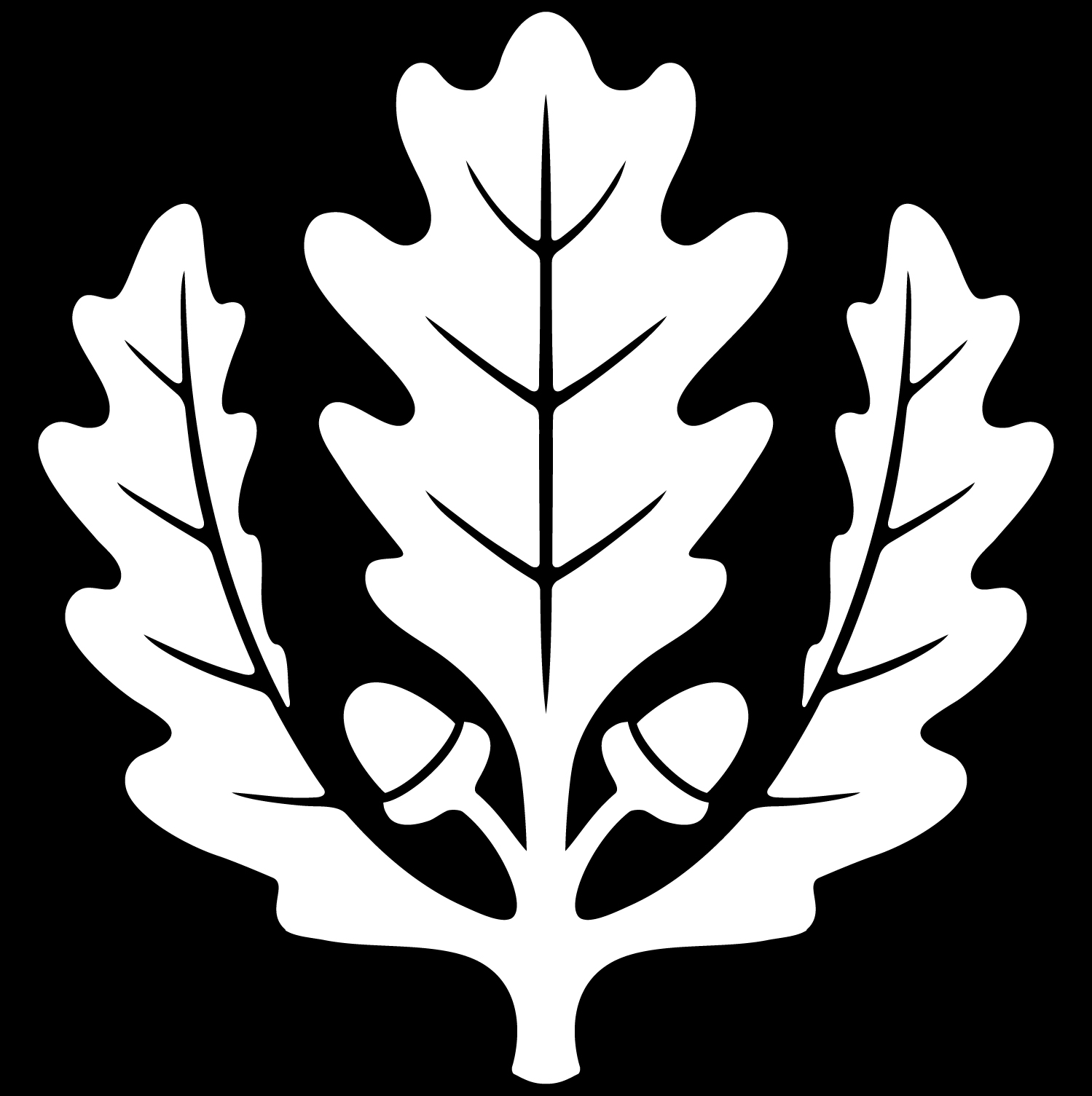 Thomas Shea